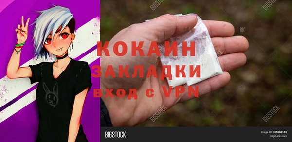 индика Баксан