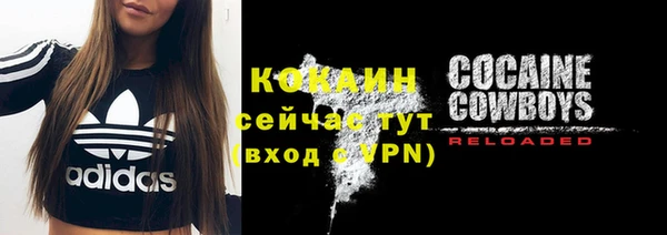 индика Баксан
