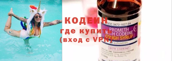 индика Баксан