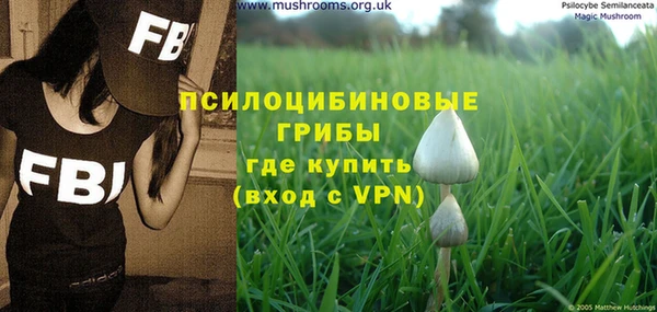 индика Баксан
