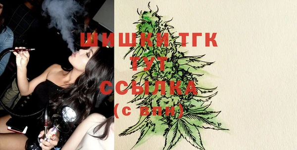 индика Баксан