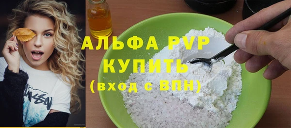 индика Баксан